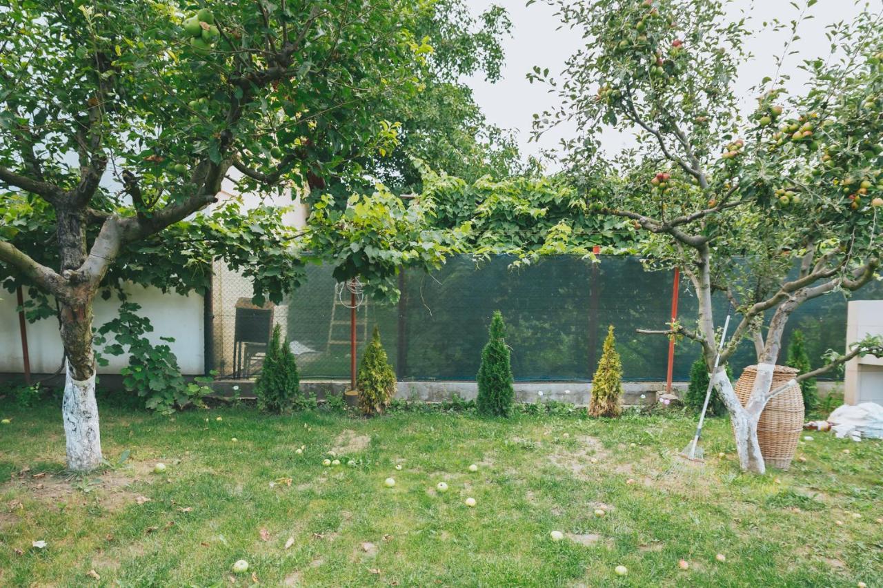 Casa Vinco Vici Hotel Turda Ngoại thất bức ảnh