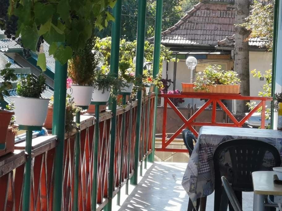 Casa Vinco Vici Hotel Turda Ngoại thất bức ảnh