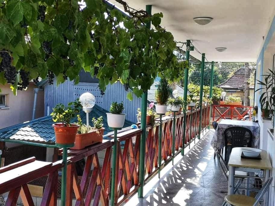Casa Vinco Vici Hotel Turda Ngoại thất bức ảnh