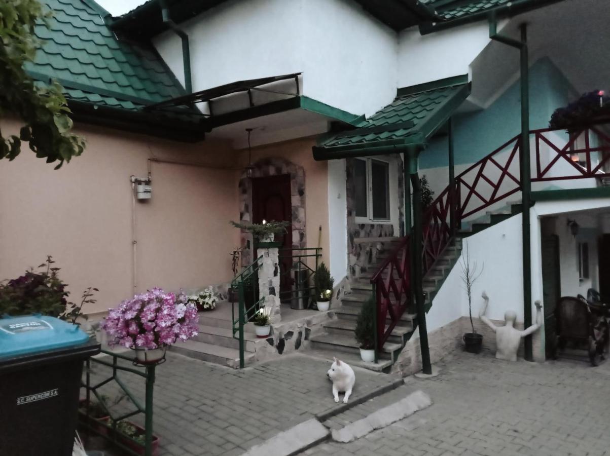 Casa Vinco Vici Hotel Turda Ngoại thất bức ảnh